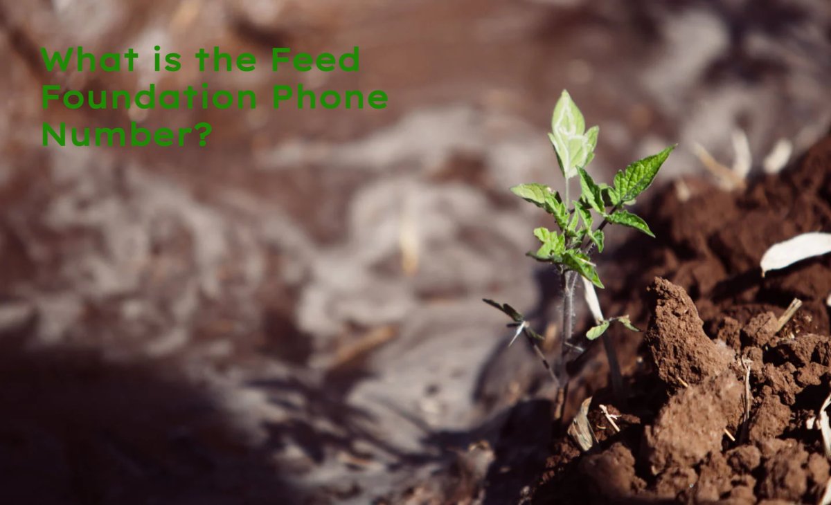 What is the Feed Foundation Phone Number?